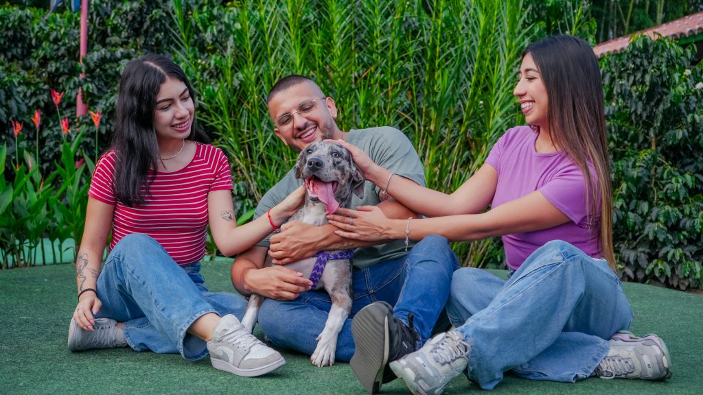 Visitar el Parque del Café con mascotas